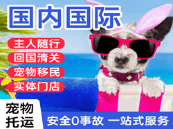 鞍山机场邮寄国际宠物托运 【国
